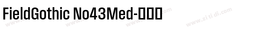 FieldGothic No43Med字体转换